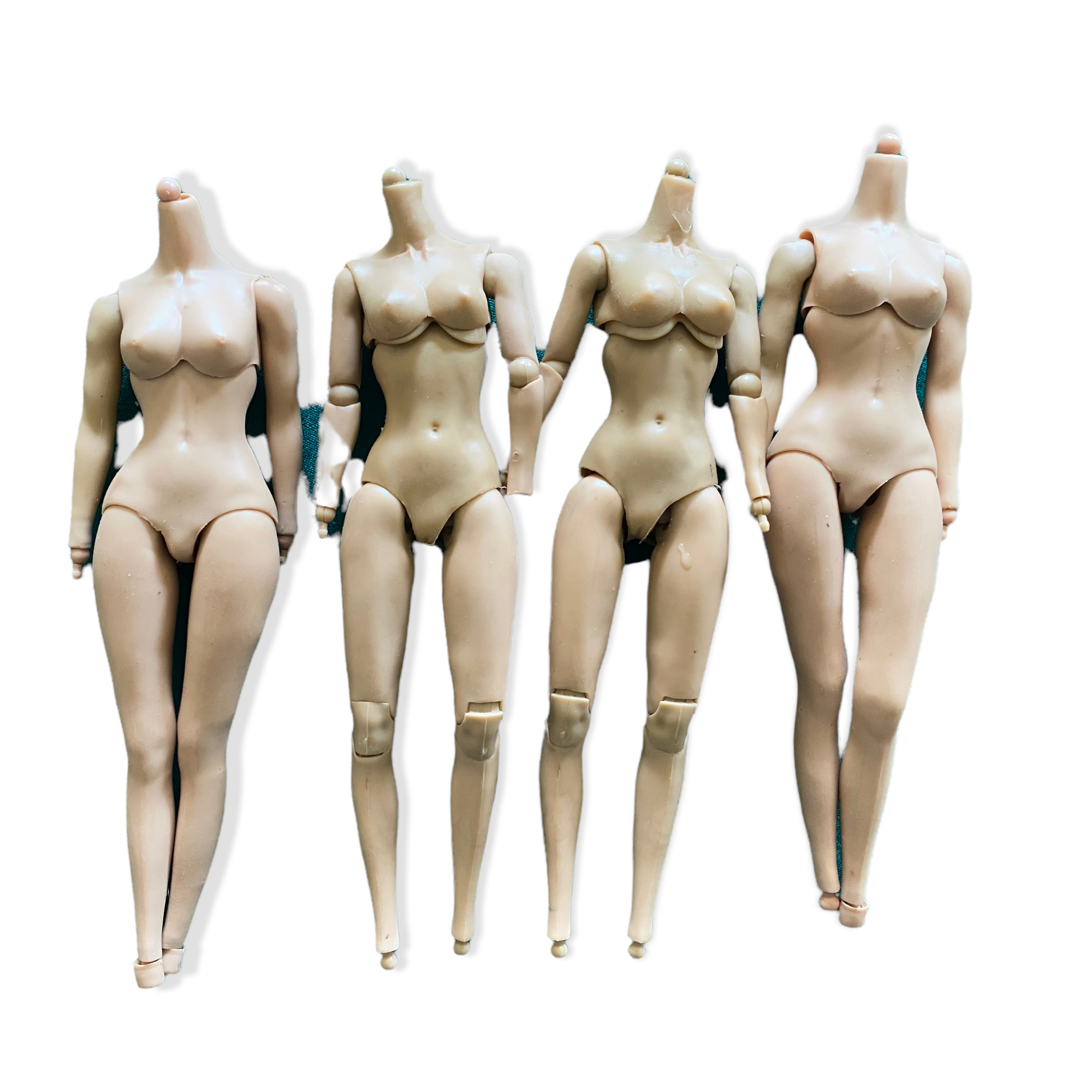  Artikelbild 1 des Artikels “Evalution (EVA) Caucasian Body “