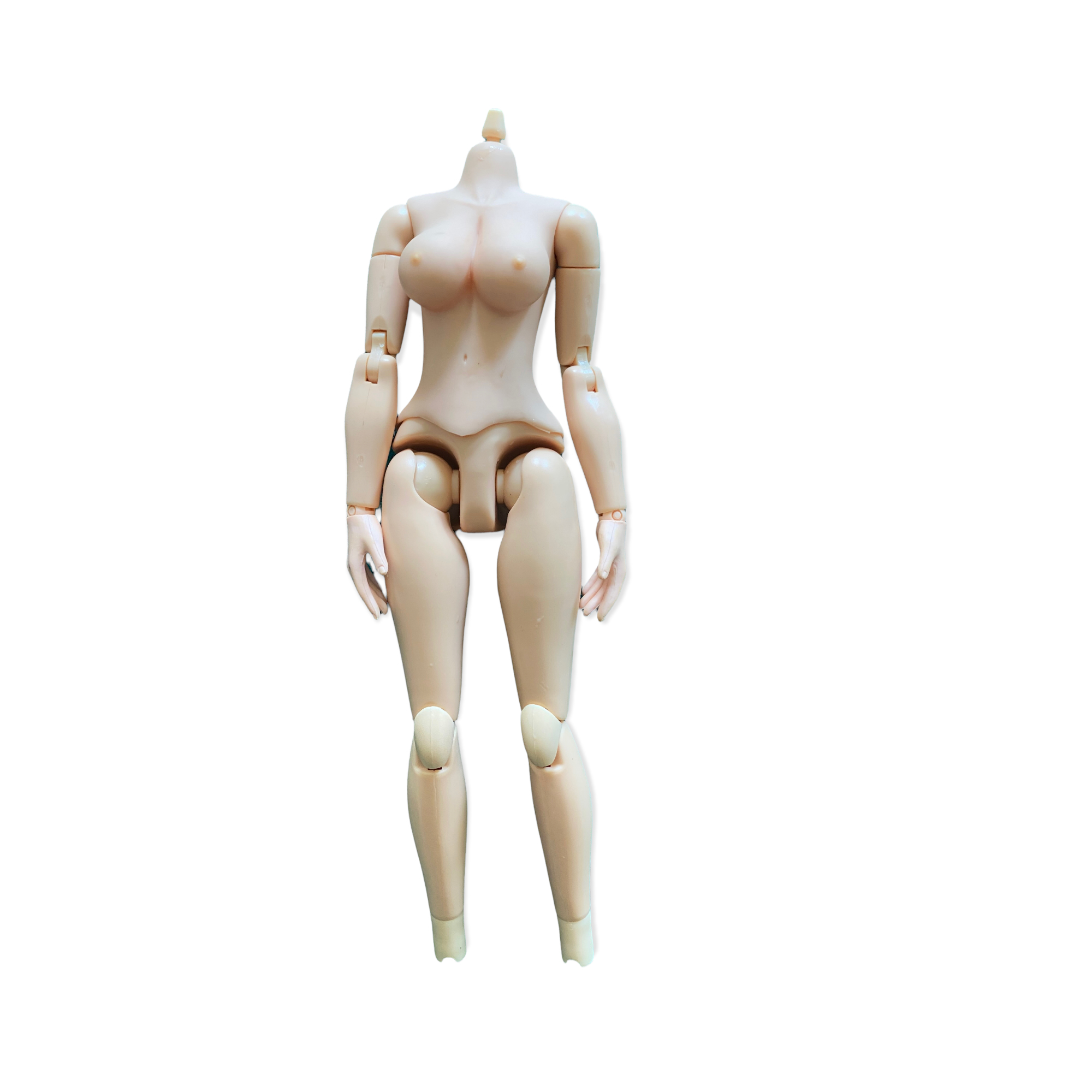  Artikelbild 1 des Artikels “Female Bodie in 1/6 “