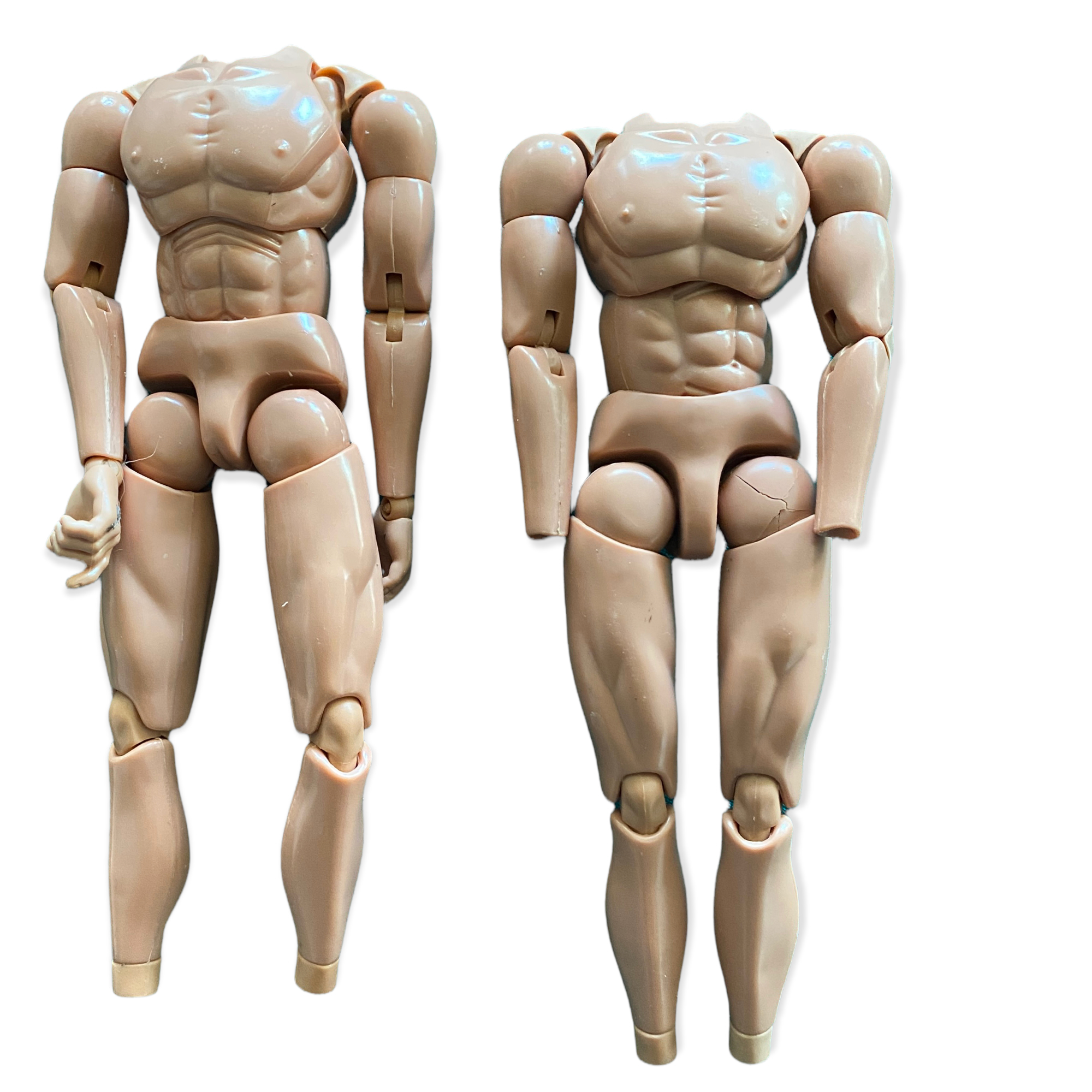  Product image 1 of the product “Bodies (2) in 1/6 ”