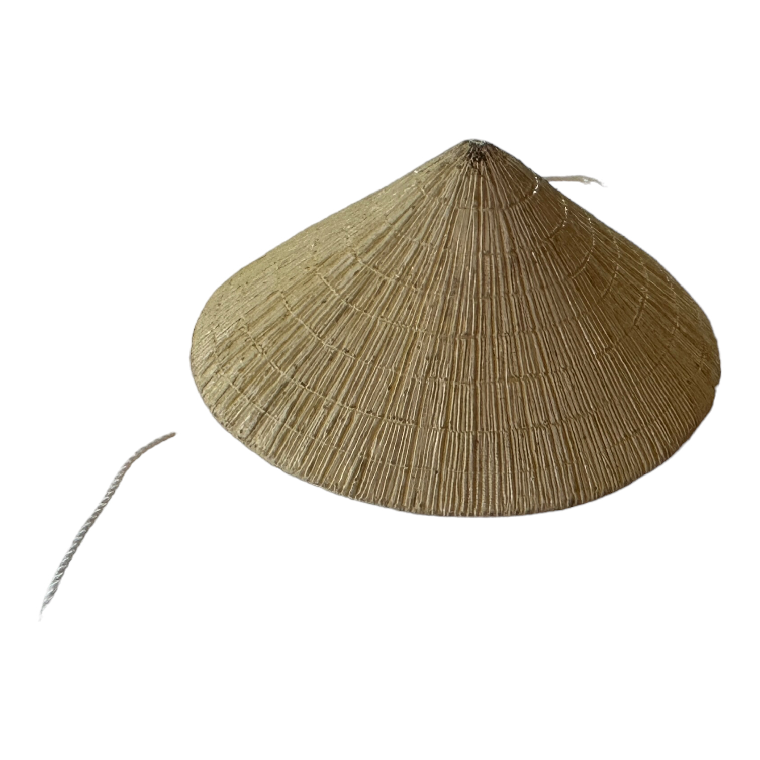  Artikelbild 1 des Artikels “Vietnam Strohhut 1/6 “