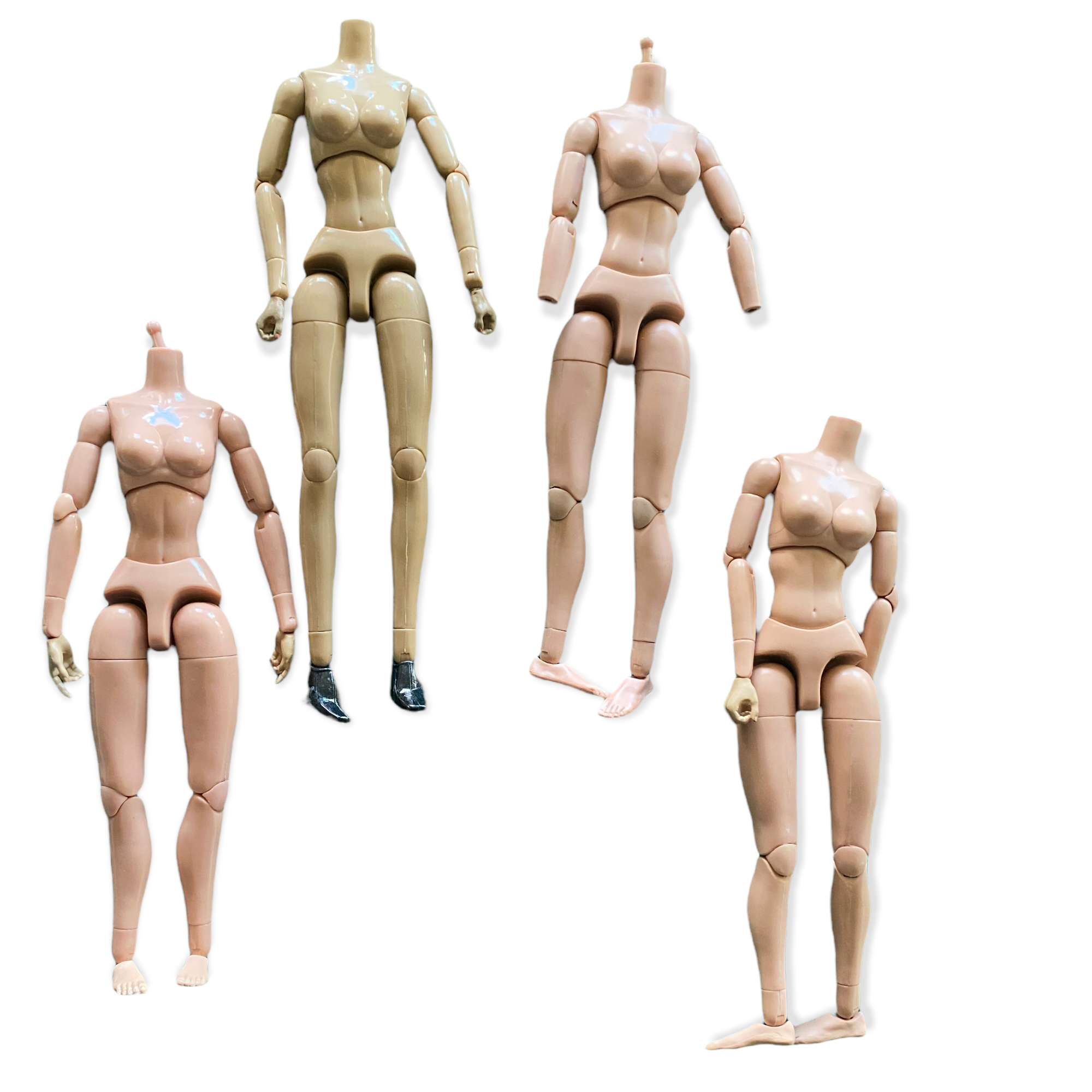  Artikelbild 1 des Artikels “Female Convolut 1/6 “