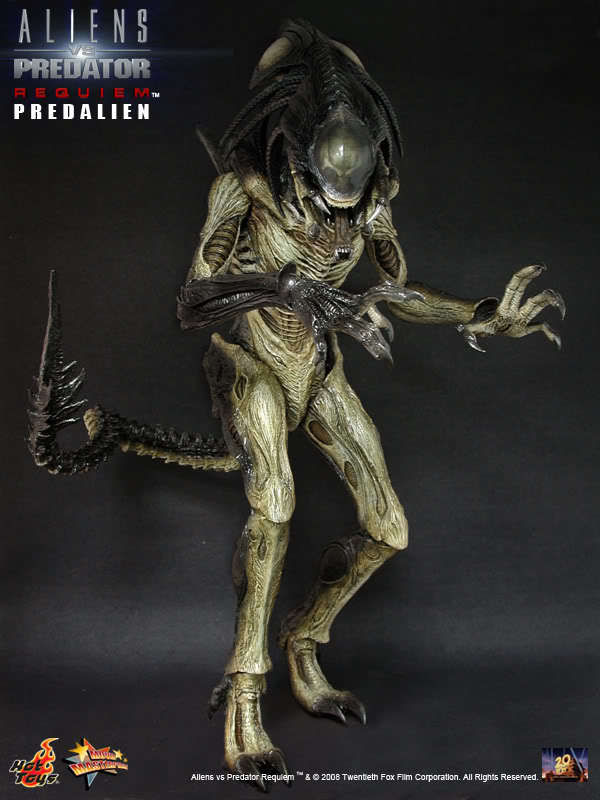  Artikelbild 1 des Artikels “1:6 Hot Predalien “
