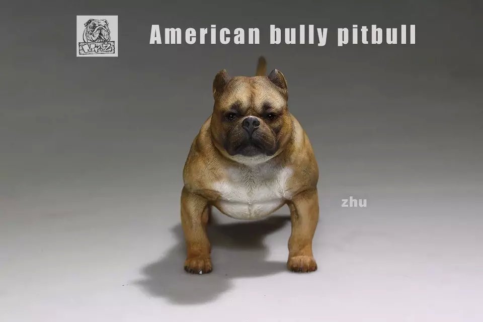  Artikelbild 1 des Artikels “MR.Z American Bully Pitbull  A 1:6 “
