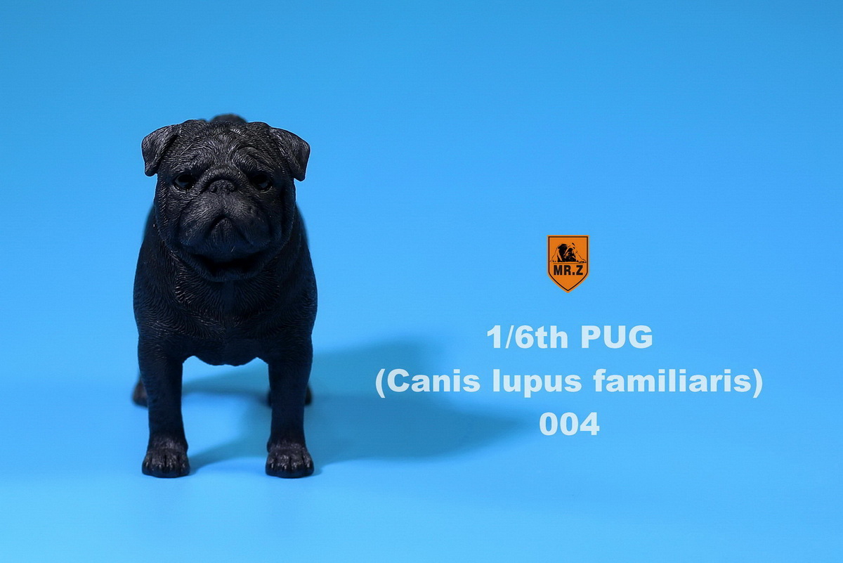  Artikelbild 1 des Artikels “Pug Dog (Black) 1:6 “