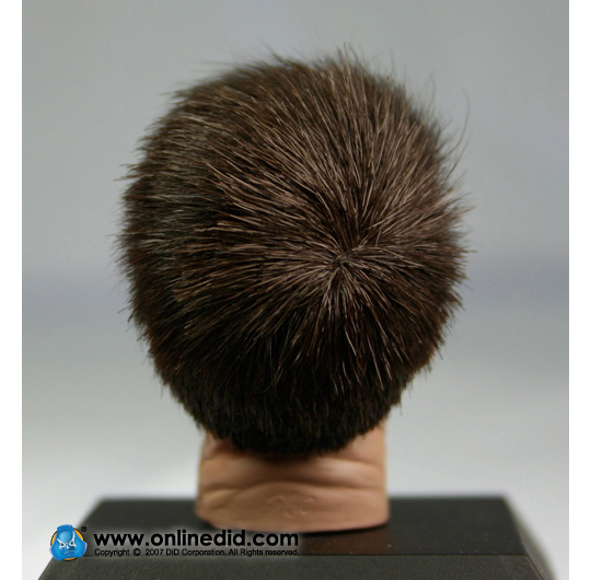  Artikelbild 1 des Artikels “Kopf mit Echthaar Schwarzhaar special Pose 1/6 “