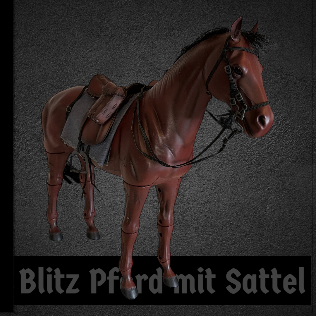  Product image 1 of the product “Wehrmacht Soldat Horst Reiterregiment and Horse 1/6 (No Box) ”