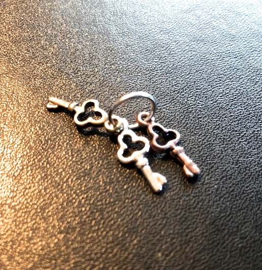  Artikelbild 1 des Artikels “Schlüsselbund in Metal “