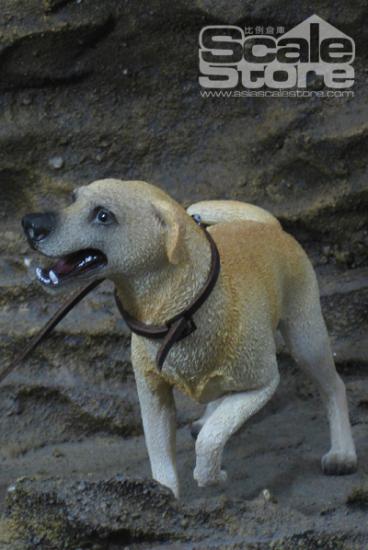  Artikelbild 1 des Artikels “Labrador Retriever Dog 1:6 “