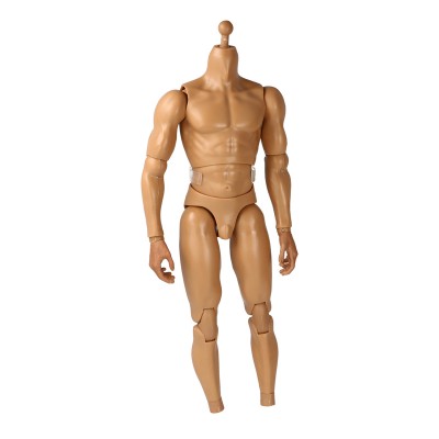  Product image 1 of the product “Viking 1/6 Strong Body ”