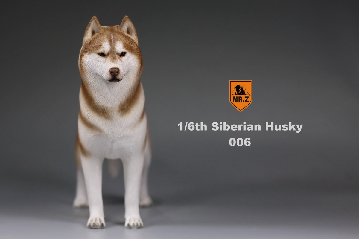  Artikelbild 1 des Artikels “Siberian Husky Dog (Brown) 1:6 “