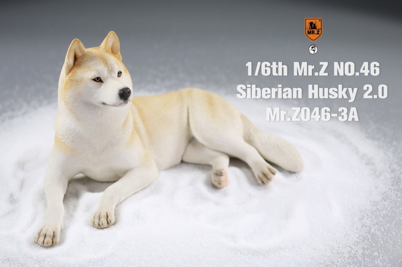  Artikelbild 1 des Artikels “Siberian Husky Dog 2.0 (Beige) 1:6 “