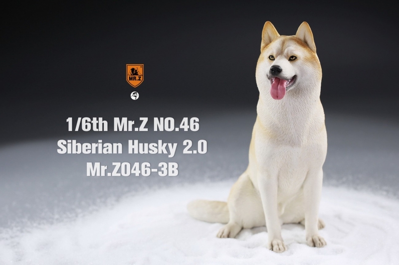  Artikelbild 1 des Artikels “Siberian Husky Dog 2.0 (Beige) 1:6 “