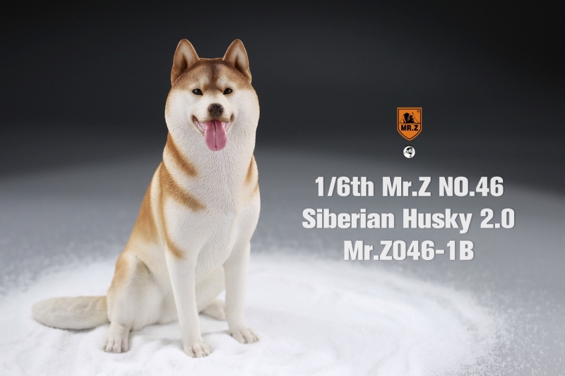  Artikelbild 1 des Artikels “Siberian Husky Dog 2.0 (Beige) 1:6 “