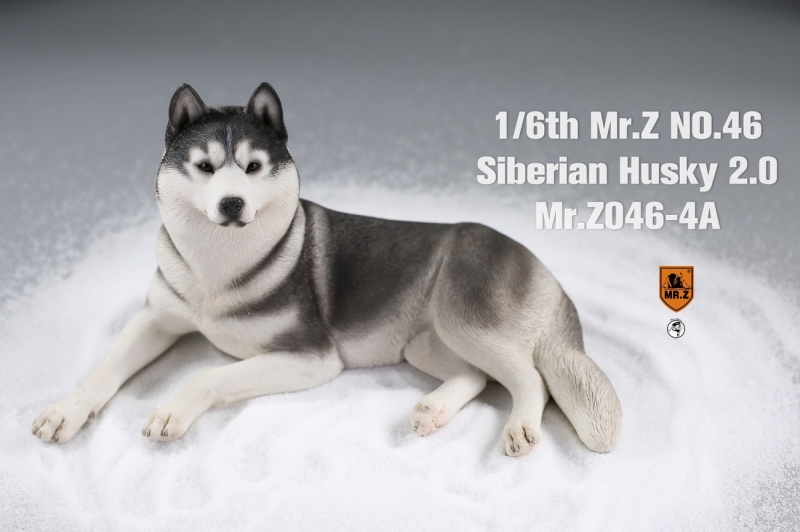  Artikelbild 1 des Artikels “Siberian Husky Dog 2.0 (Black) 1:6 “