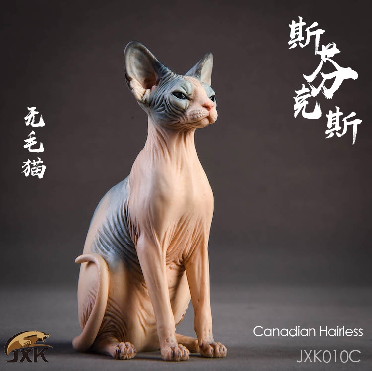  Artikelbild 1 des Artikels “Sphynx Canadian Hairless Cat (Beige) 1:6 “