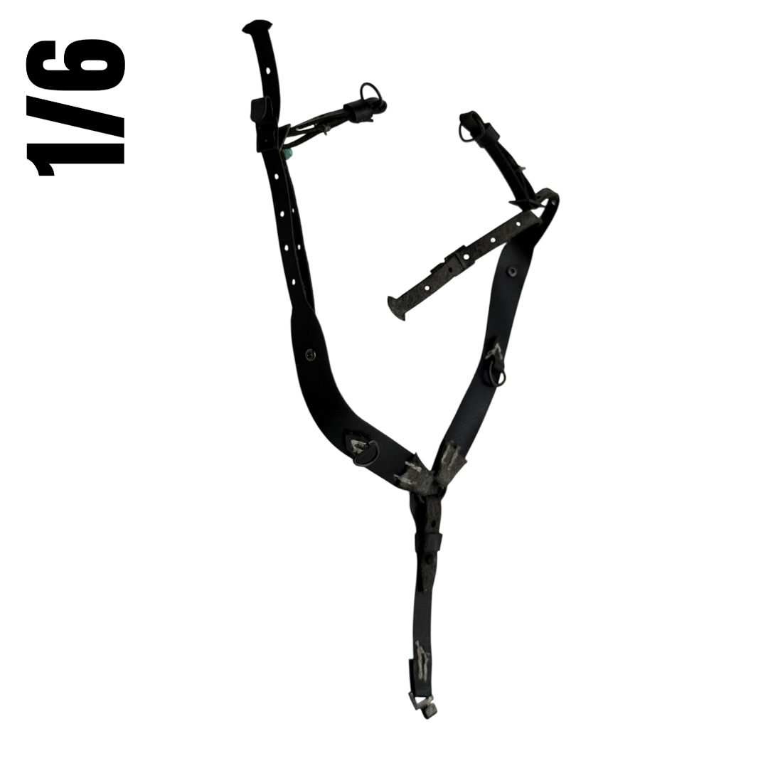  Artikelbild 1 des Artikels “Koppeltragegestell mit Hilfstrageriemen 1/6 “