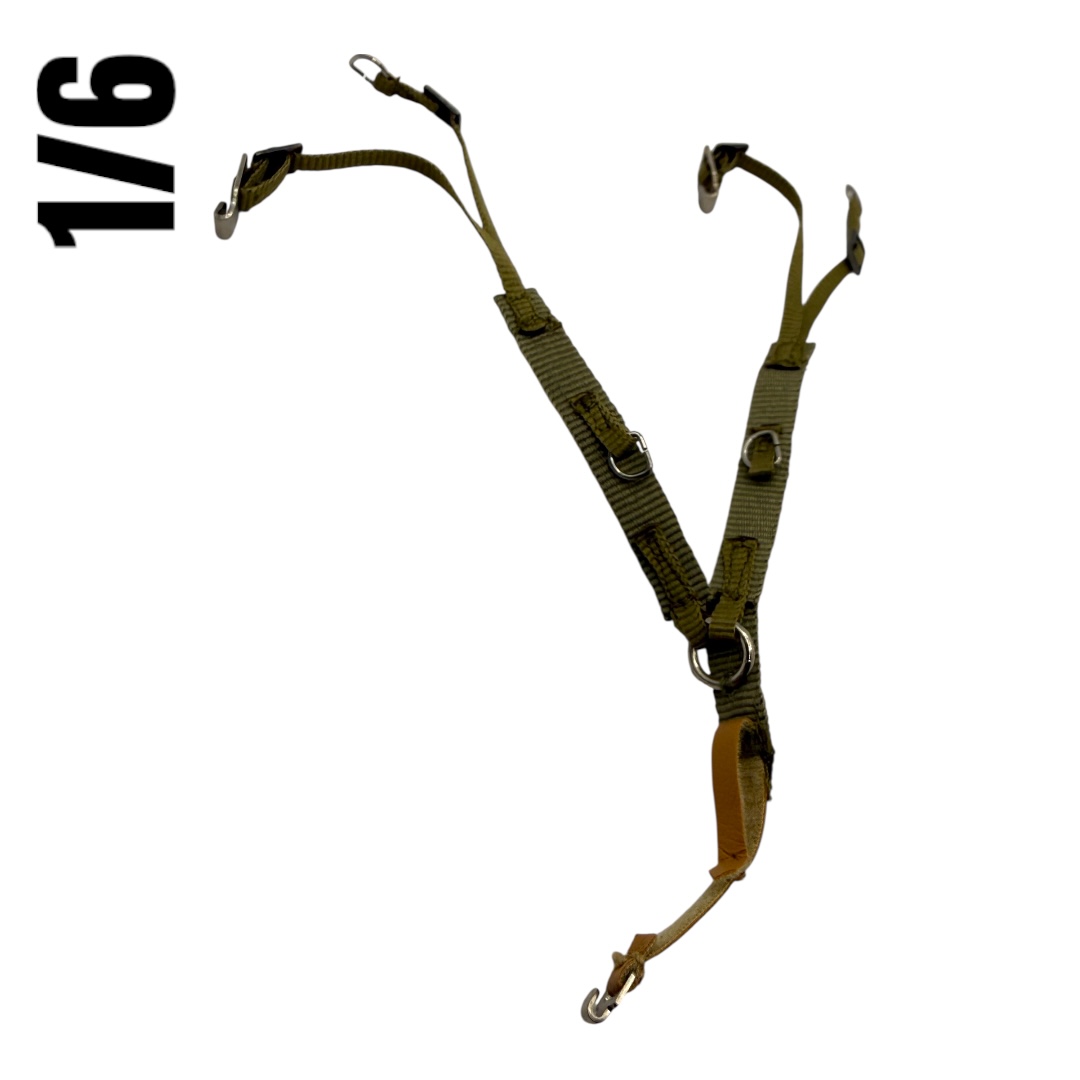  Product image 1 of the product “Tropical Y Harness 1/6 ”