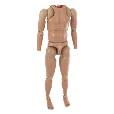 Product image 2 of the product “AAron Figur 1/6 ”