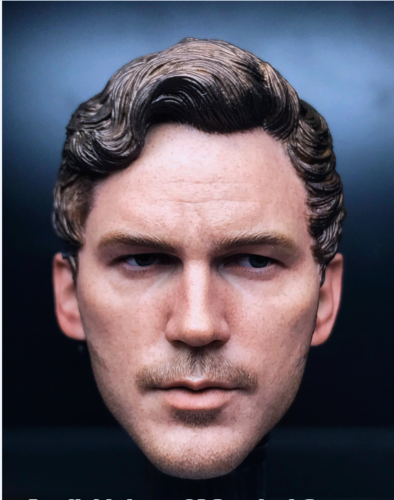  Product image 2 of the product “1/6 Chris Pratt Head ”