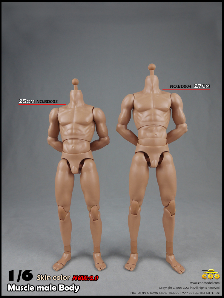  Product image 2 of the product “1/6 2.0 Long Neck male Body HIGH (narrow shoulders) ”