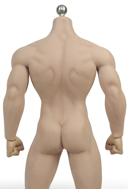  Artikelbild 2 des Artikels “Phicen Body Male 1:6 “