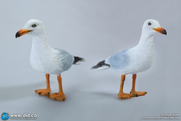  Artikelbild 2 des Artikels “Möve mit Schiffchen (Bonus Set) “