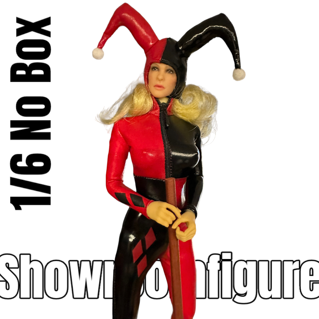  Artikelbild 2 des Artikels “1/6 Female Harley Quinn Casual Action Figure “