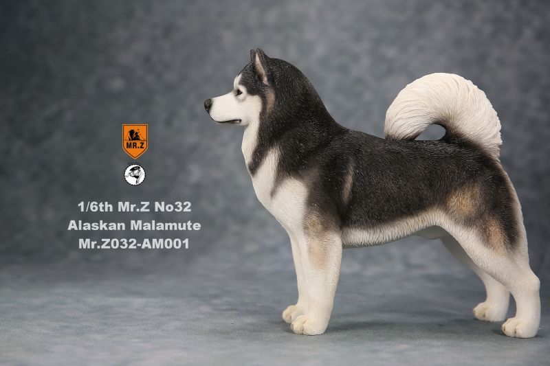  Artikelbild 2 des Artikels “Alaskan Malamute Dog (Black) 1:6 “