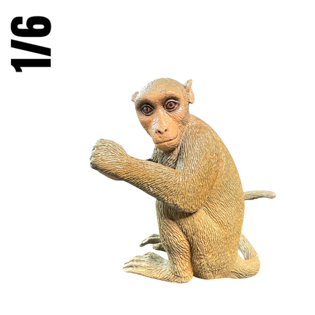  Artikelbild 2 des Artikels “1/6 Scale Big Affe “