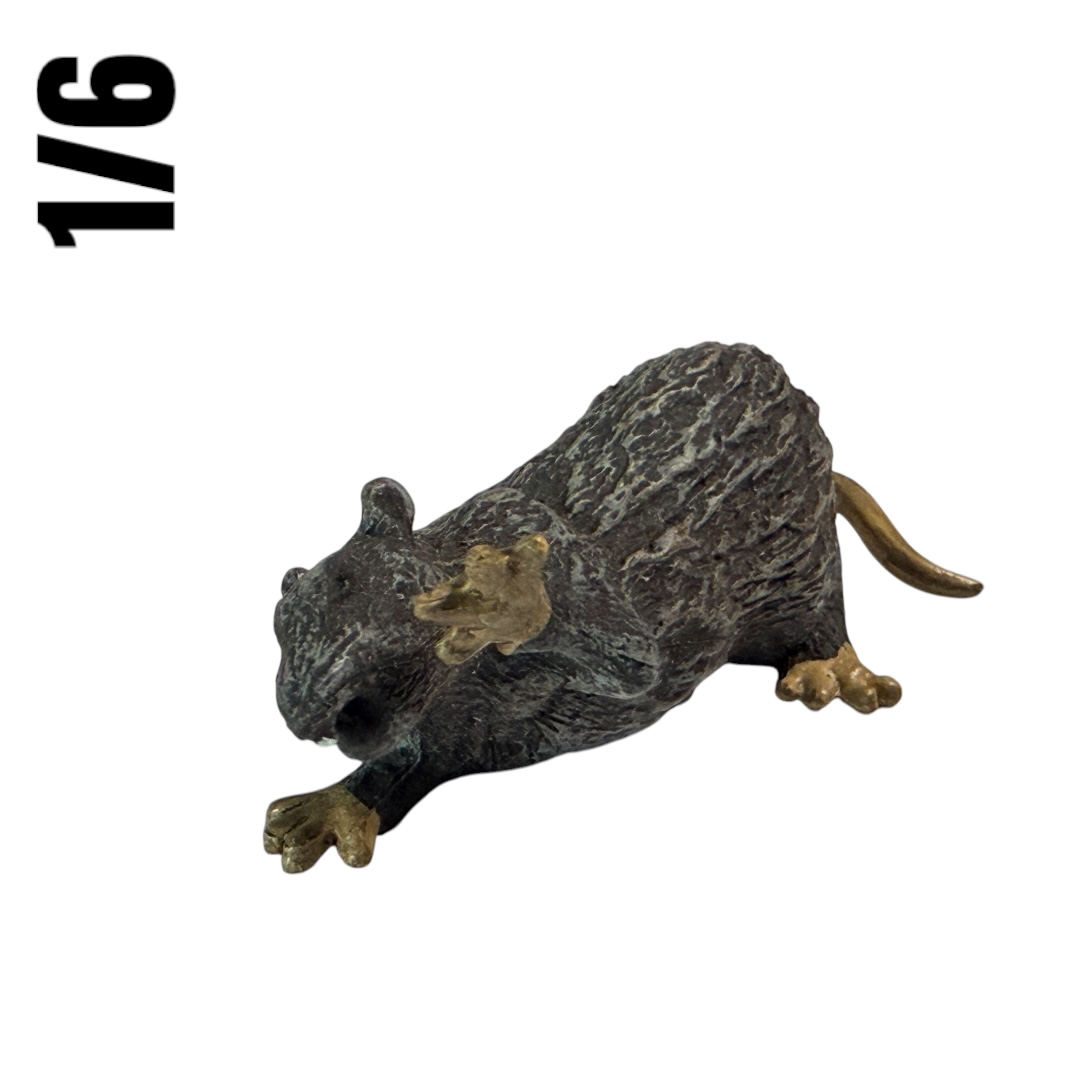  Artikelbild 2 des Artikels “1/6 Scale Rats (3) “