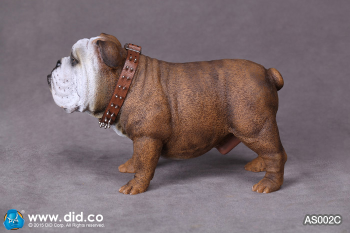  Artikelbild 2 des Artikels “British Bulldog (Brown) 1:6 “