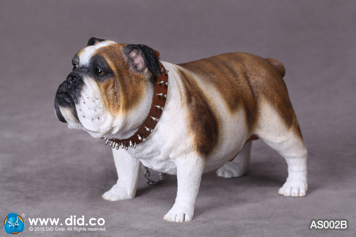  Artikelbild 2 des Artikels “British Bulldog (Brown White) 1:6 “