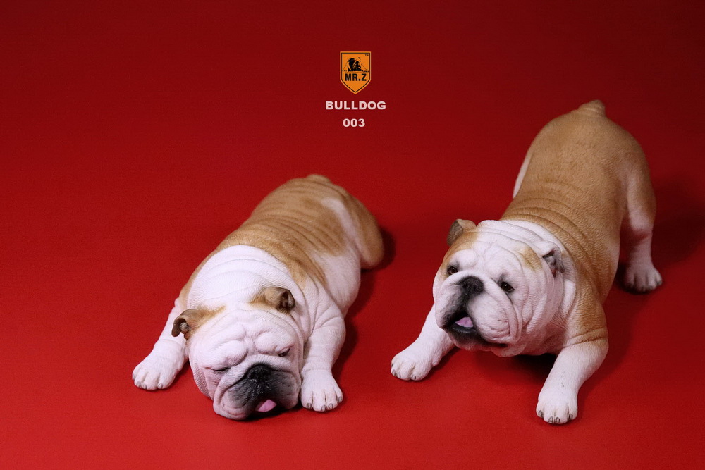  Artikelbild 2 des Artikels “British Bulldog Dogs Set (Beige) 1:6 “