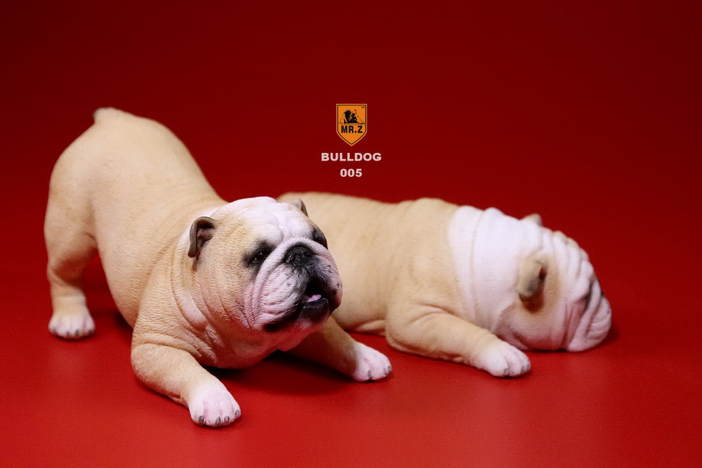  Artikelbild 2 des Artikels “British Bulldog Dogs Set (Beige White) 1:6 “
