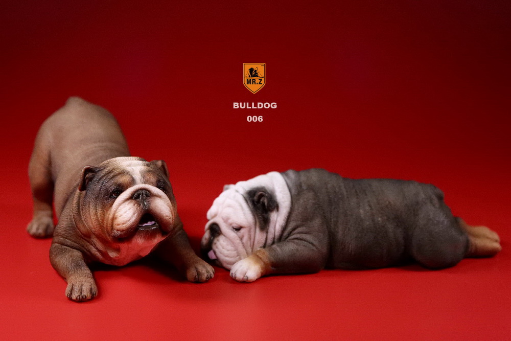  Product image 2 of the product “British Bulldog Dogs Set (Brown) 1/6 ”