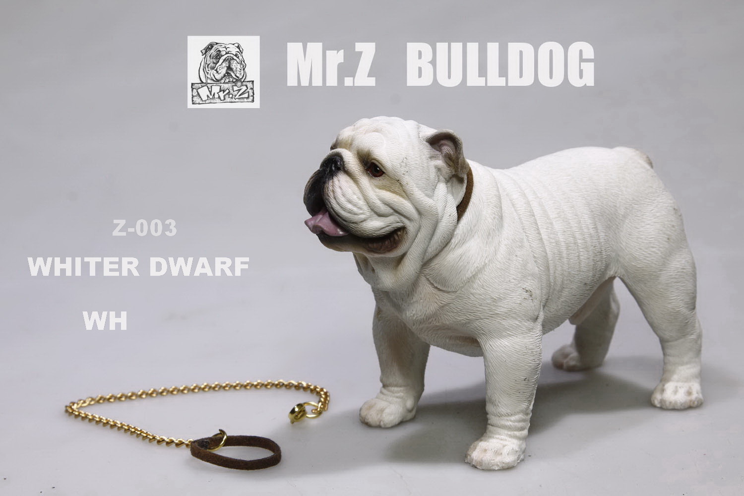  Product image 2 of the product “English Bulldog Whiter Dwarf 1/6 ”