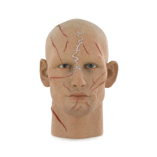  Artikelbild 2 des Artikels “1:6 Headsculpt Tadanobu Asan “