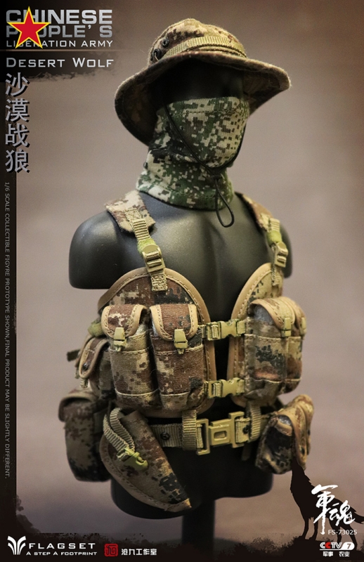  Artikelbild 2 des Artikels “Chinese People's Liberation Army - Desert Wolf “