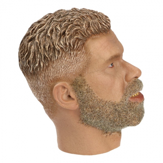 Product image 2 of the product “Ron Head 1/6 ”