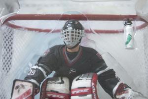  Product image 2 of the product “Dominik Hasek Buffalo Sabres ”