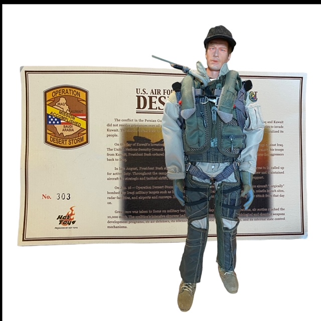  Artikelbild 2 des Artikels “F 16 Hot Toys Dessert Storm Exclusive “