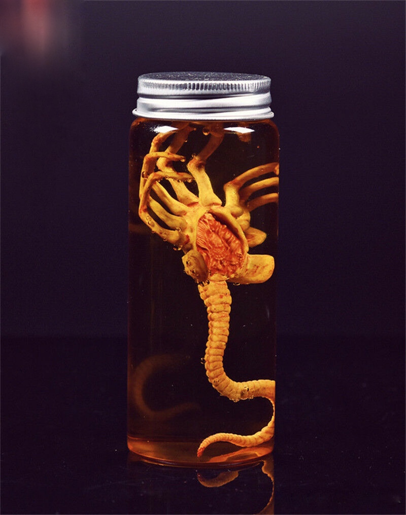  Product image 2 of the product “facehugger - LARVA mit Glas mit Schraubdeckel ”