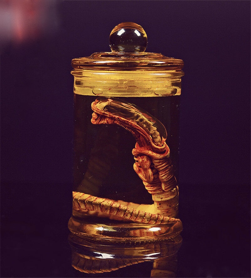  Product image 2 of the product “Alien - LARVA 1/6 Miniglas ”