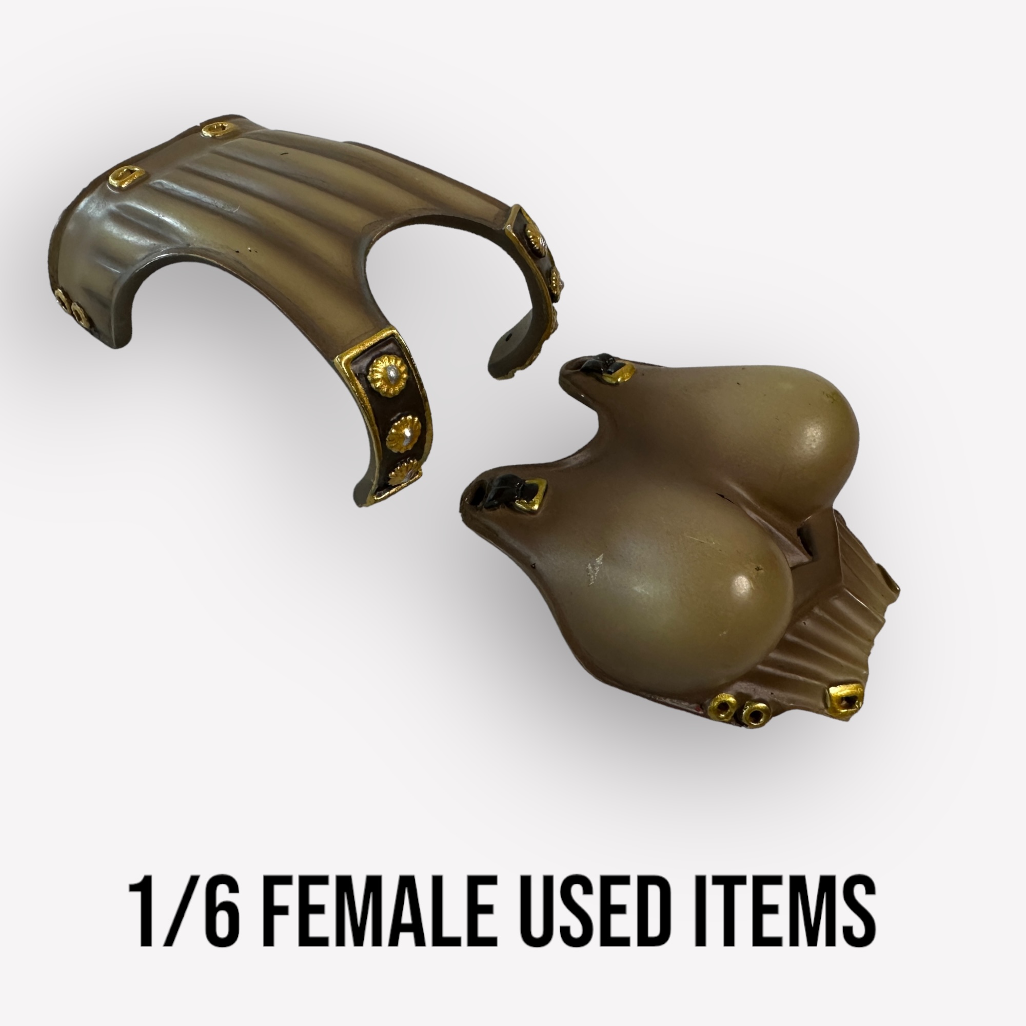  Artikelbild 2 des Artikels “Female Brust Plate 1/6. “
