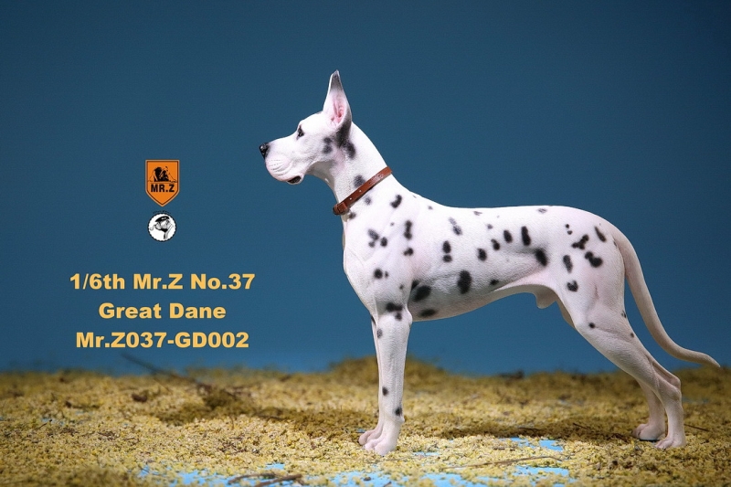  Artikelbild 2 des Artikels “German Great Dane Dog (White) 1:6 “