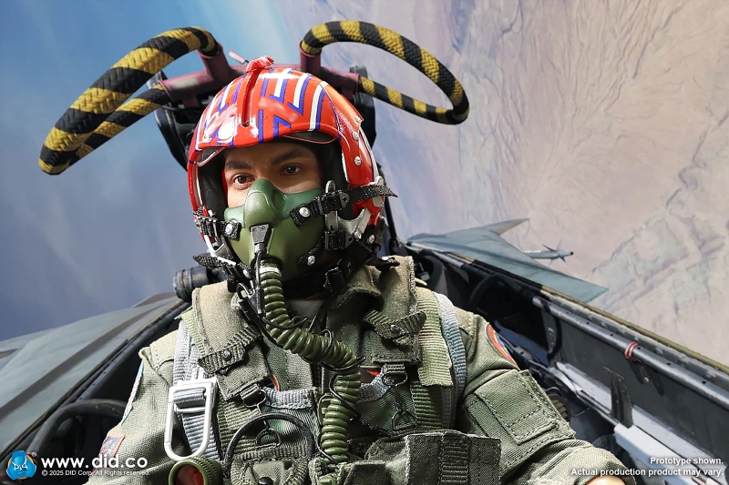  Product image 2 of the product “Goose HGU-style decorated fighter pilot helmet (red)  1/6 ”