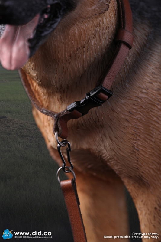  Artikelbild 2 des Artikels “Deutscher Schäferhund 1:6 “