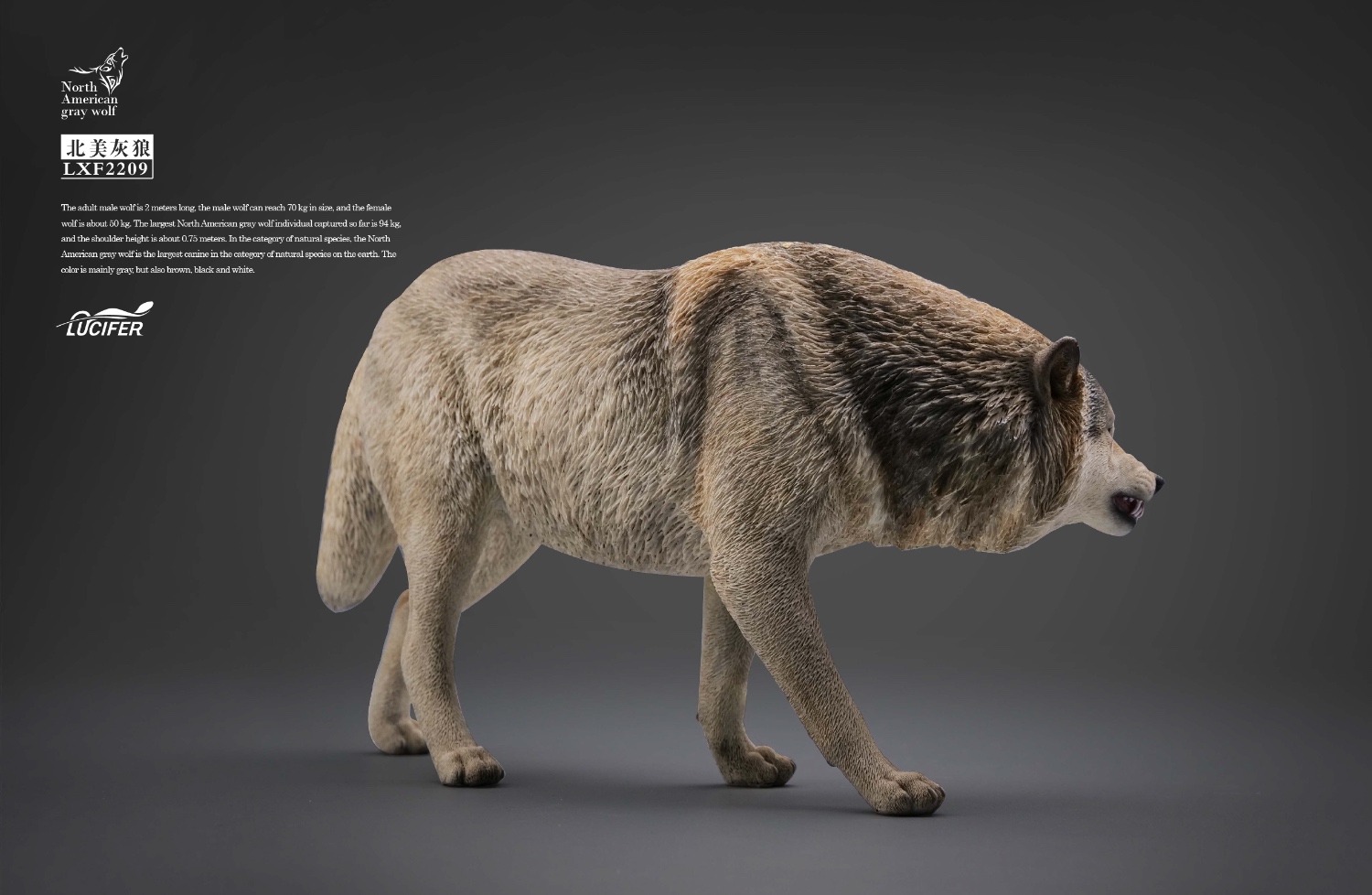  Artikelbild 2 des Artikels “1/6 Grauer Wolf “