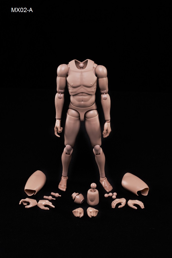  Product image 2 of the product “1/6 Male Body (narrow shoulders) ”