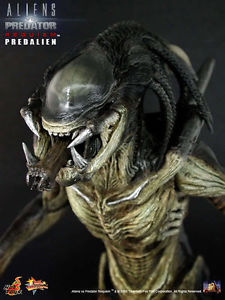  Artikelbild 2 des Artikels “1:6 Hot Predalien “